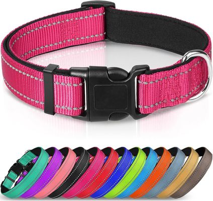 Collare da cane regolabile impermeabile lampeggiante per passeggiate notturne personalizzato