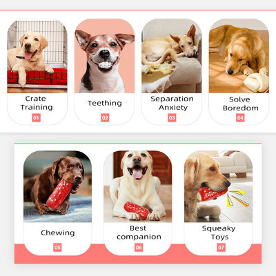 Giocattoli interattivi per cani per cani piccoli, medi e grandi Logo personalizzato Accettabile