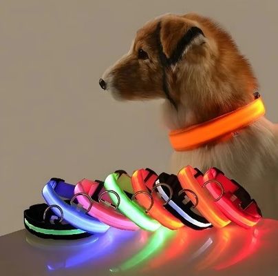 Collare da cane regolabile impermeabile lampeggiante per passeggiate notturne personalizzato