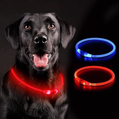 Collare da cane accettabile per animali da compagnia impermeabile e resistente