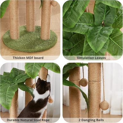 Gatti all'interno Condo verde sostenibile Torre con gatto che si gratta Dormire giocare