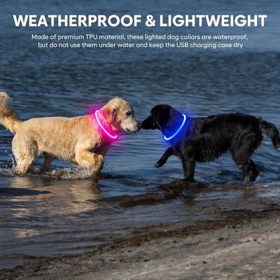 Collare da cane accettabile per animali da compagnia impermeabile e resistente