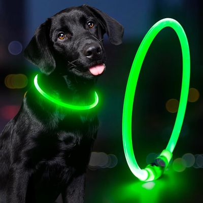 Collare per cane impermeabile ricaricabile USB per passeggiate notturne e allenamenti