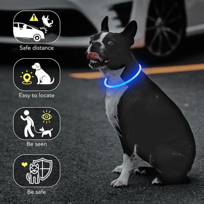 Collare per cane impermeabile ricaricabile USB per passeggiate notturne e allenamenti