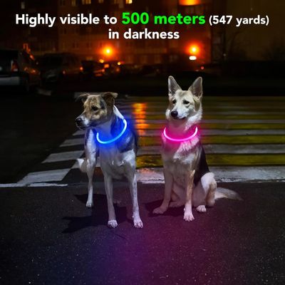 Collare per cane impermeabile ricaricabile USB per passeggiate notturne e allenamenti