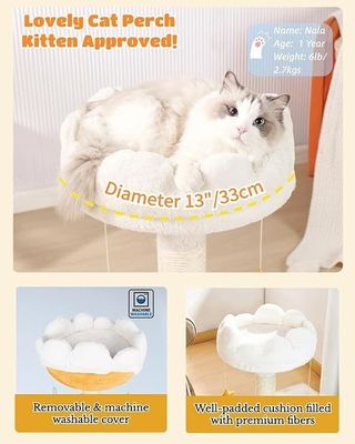 Plüsch Perch Carino Albero Gatto Nuvola Bianca Gatto Torre Per Piccoli Gatti E Animali