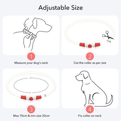 Collare per cane impermeabile ricaricabile USB per passeggiate notturne e allenamenti