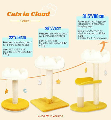 Plüsch Perch Carino Albero Gatto Nuvola Bianca Gatto Torre Per Piccoli Gatti E Animali
