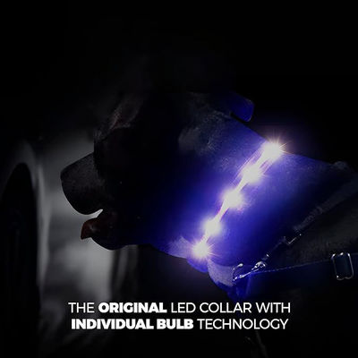 Servizio di personalizzazione Fornito Collare per cani in silicone a LED USB impermeabile ricaricabile