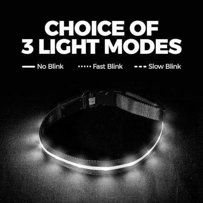 Servizio di personalizzazione Fornito Collare per cani in silicone a LED USB impermeabile ricaricabile