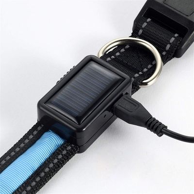 Collare per cani attivo a LED regolabile USB ricaricabile