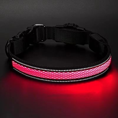 Collare per cani attivo a LED regolabile USB ricaricabile