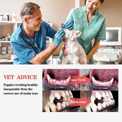 Non tossico Amico dell'ambiente Cane interattivo da masticare per pulire i denti