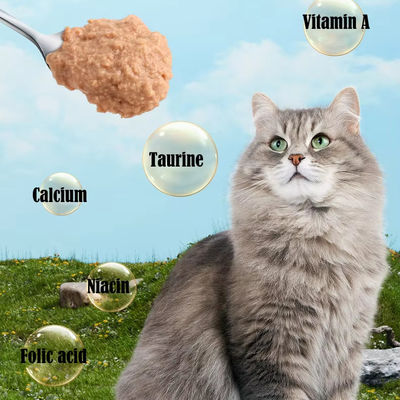 Popolare cibo per gatti umido in scatola con servizio di personalizzazione fornito 85 g per gattini cucciolo