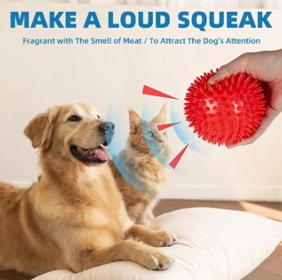 TPR Squeaky Tooth Cleaning Ball giocattolo per cani per allenamento e masticazione dei denti degli animali domestici