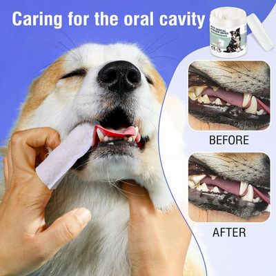 Comodo e delicato pulizia Logo personalizzato Acciai dentali in PET con ingredienti naturali