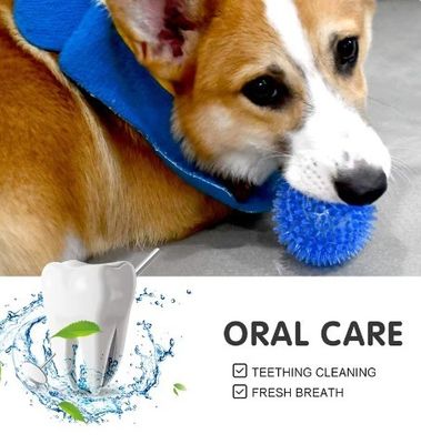 Logo personalizzato accettabile best seller TPR Squeaky Spike Ball Dog Toy per cani e animali domestici