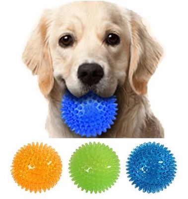 Logo personalizzato accettabile best seller TPR Squeaky Spike Ball Dog Toy per cani e animali domestici