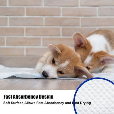 Matte da piscio per cani da addestramento all'aria aperta pannolino per animali da compagnia usa e getta per cani con materiali sostenibili