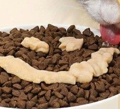 55% Contenuto di carne Alimenti bagnati per gatti Tutte le fasi della vita Salmone Gatti Dolci Bastone Alimenti in borsa