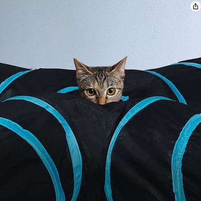 Servizio di personalizzazione fornito 4 Way Cat Tunnel Bed Pop-up Collapsible Pet Tube Toy