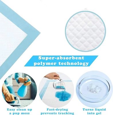 56*56cm Animali piccoli Pad di addestramento per animali domestici con pannolino sanitario monouso a prova di perdite
