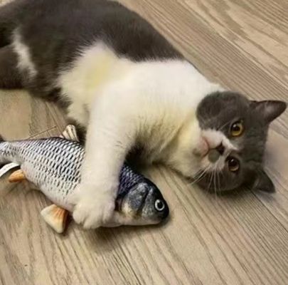 Catnip Plush Electric Moving Fish Cat Toy per un gioco sostenibile e interattivo