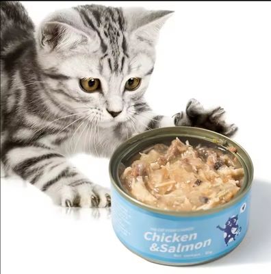 Proteine a base di etichetta privata su misura Nutrizione per gatti in scatola umida per la salute e i sapori multipli