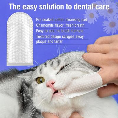 Servizi puliti per la pulizia dei denti per la cura delle gengive