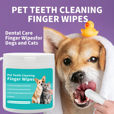 Servizi di pulizia dei denti per animali domestici convenienti per gatti e cani Spazzolino per denti senza risciacquo