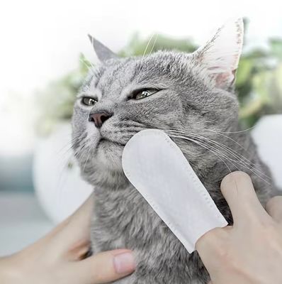 Comodo ed efficace pulizia orale per animali domestici con asciugamani bagnati a manica a profumo naturale
