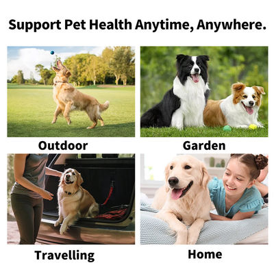 Comodo ed efficace pulizia orale per animali domestici con asciugamani bagnati a manica a profumo naturale