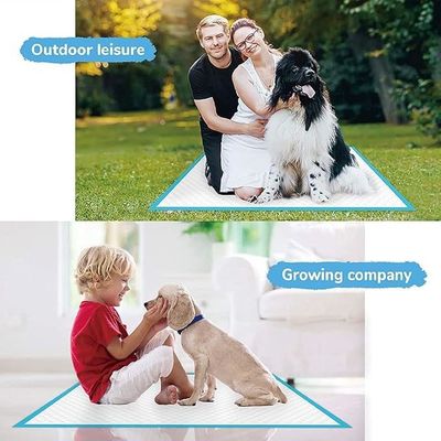 Acconciature impermeabili monouso per cuccioli Assorbimento delle urine a secco rapido 56*56cm