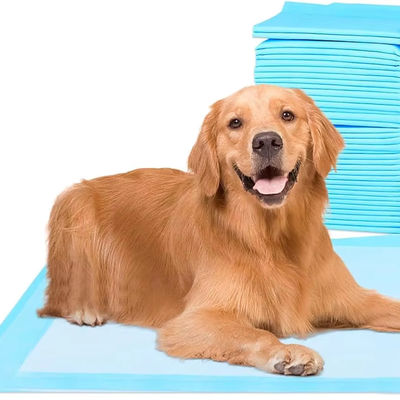 Pad di piscio monouso per cani sostenibili e impermeabili Matte di piscio da asciugatura rapida per tutti i giorni