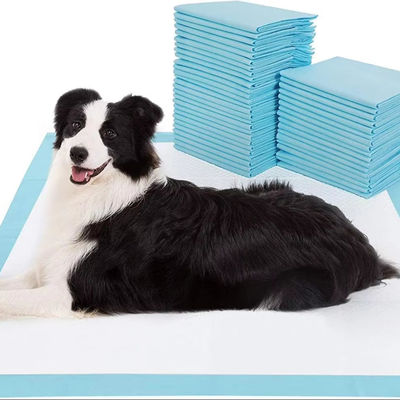 100 confezioni di cuscinetti per animali da compagnia usa e getta respirabili con assorbente e a prova di perdite