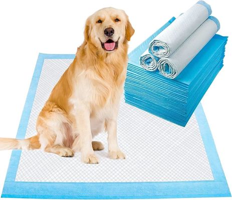 Pisciatoio per allenamento del cane usa e getta da asciugatura rapida con materiale sostenibile