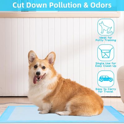 Pisciatoio per allenamento del cane usa e getta da asciugatura rapida con materiale sostenibile
