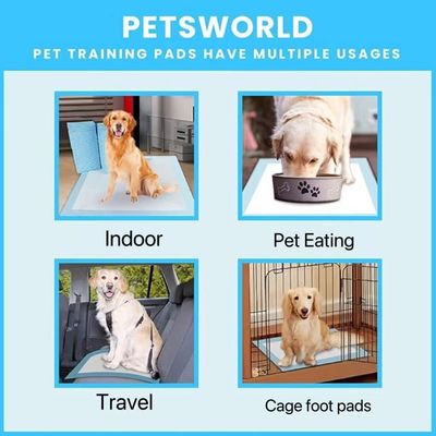 Pisciatoio per allenamento del cane usa e getta da asciugatura rapida con materiale sostenibile