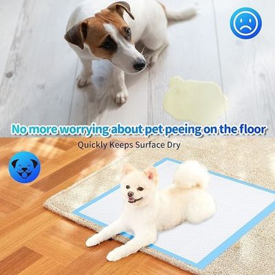 Cani gatti ecc. Animali domestici tappetino impermeabile lavabile per animali domestici per l'addestramento ad assorbimento delle urine