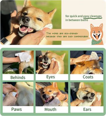 Accipiccioli morbidi per animali domestici per pulire gli occhi e il cerume in bianco o personalizzati biodegradabili