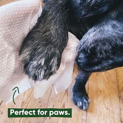 Pulizzatrici per animali domestici con formula naturale a base vegetale biodegradabile e amichevole per gli occhi