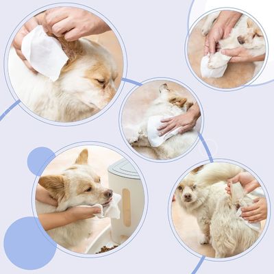 Pulizzatrici per animali domestici con formula naturale a base vegetale biodegradabile e amichevole per gli occhi