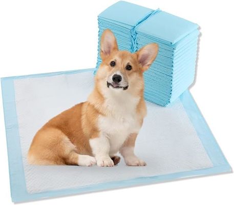 Pad per cani usa e getta extra grandi 56x56cm per l' allenamento quotidiano in bagno stagionale
