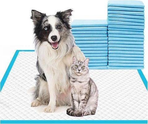 Pad di addestramento per animali da compagnia usa e getta 56x56cm Pad di piscio per cani di grandi dimensioni per cuccioli e animali