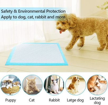 56*56cm Super-assorbente impermeabile Disposable Pet Training Pad per la formazione del piscio del cucciolo