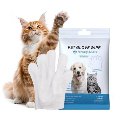 Logo personalizzato accettabile 6PCS pacchetto guanti per la pulizia degli animali domestici per la pulizia del PET asciugamani bagnati