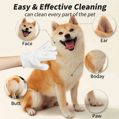 Logo personalizzato accettabile 6PCS pacchetto guanti per la pulizia degli animali domestici per la pulizia del PET asciugamani bagnati