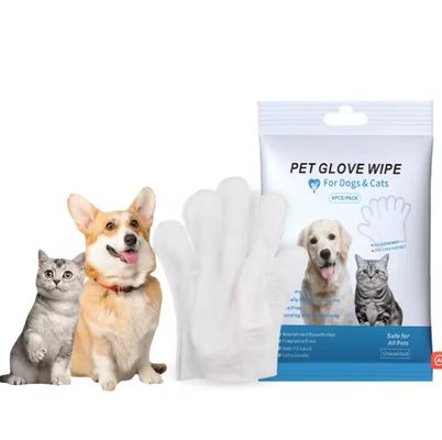 9.6in*12.6in Guanti per la cura degli animali per la vita quotidiana Eco-friendly e usa e getta