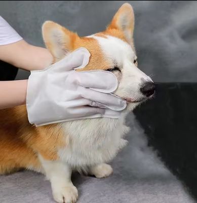 Non tessuti Blue Package Cleaning Disposable Pet Grooming Gloves Wet Wipes For Dogs Cats