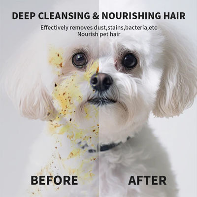Non tessuti Blue Package Cleaning Disposable Pet Grooming Gloves Wet Wipes For Dogs Cats